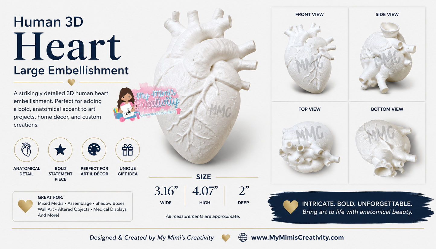 🫀 Human 3D Heart Large Embellishment